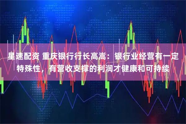 星速配资 重庆银行行长高嵩：银行业经营有一定特殊性，有营收支撑的利润才健康和可持续