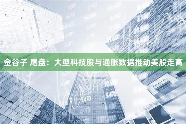 金谷子 尾盘：大型科技股与通胀数据推动美股走高
