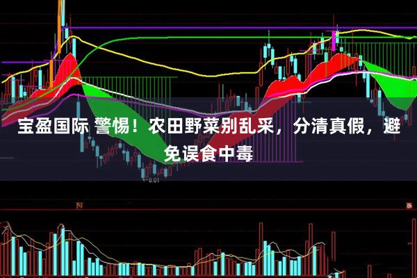 宝盈国际 警惕！农田野菜别乱采，分清真假，避免误食中毒
