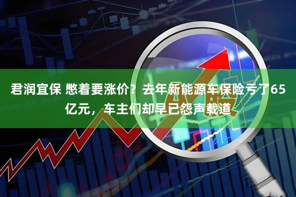 君润宜保 憋着要涨价？去年新能源车保险亏了65亿元，车主们却早已怨声载道