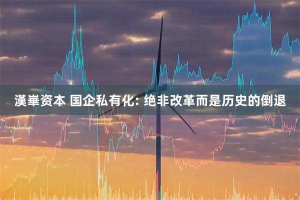 漢崋资本 国企私有化: 绝非改革而是历史的倒退