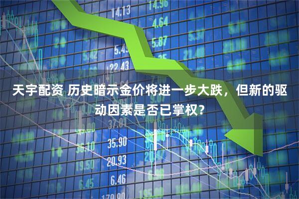 天宇配资 历史暗示金价将进一步大跌，但新的驱动因素是否已掌权？