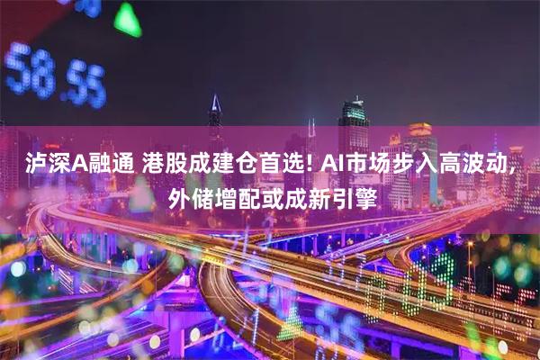 泸深A融通 港股成建仓首选! AI市场步入高波动, 外储增配或成新引擎