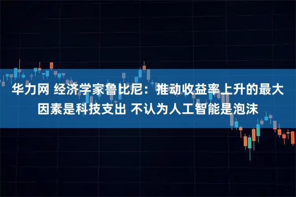 华力网 经济学家鲁比尼：推动收益率上升的最大因素是科技支出 不认为人工智能是泡沫